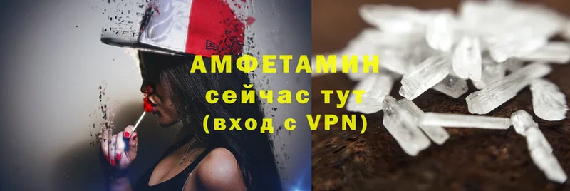 Amphetamine Premium  как найти наркотики  Петровск-Забайкальский 